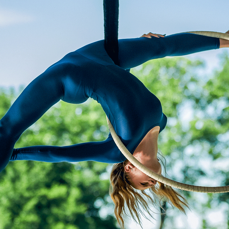 Aerial Hoop Clothing Dragonfly
